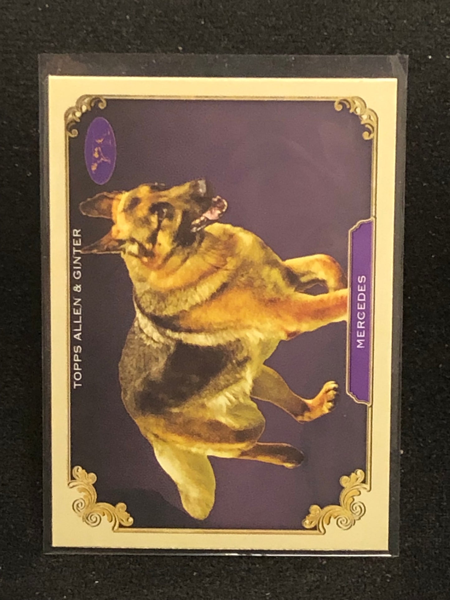 Topps 2024 Allen & Ginter Stars Of The Show (SOS) Singles