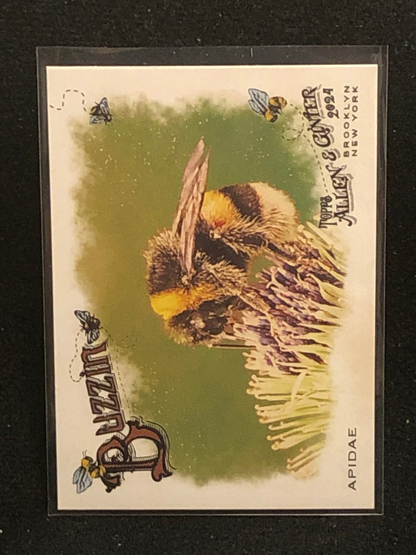 Topps 2024 Allen & Ginter Buzzin Singles