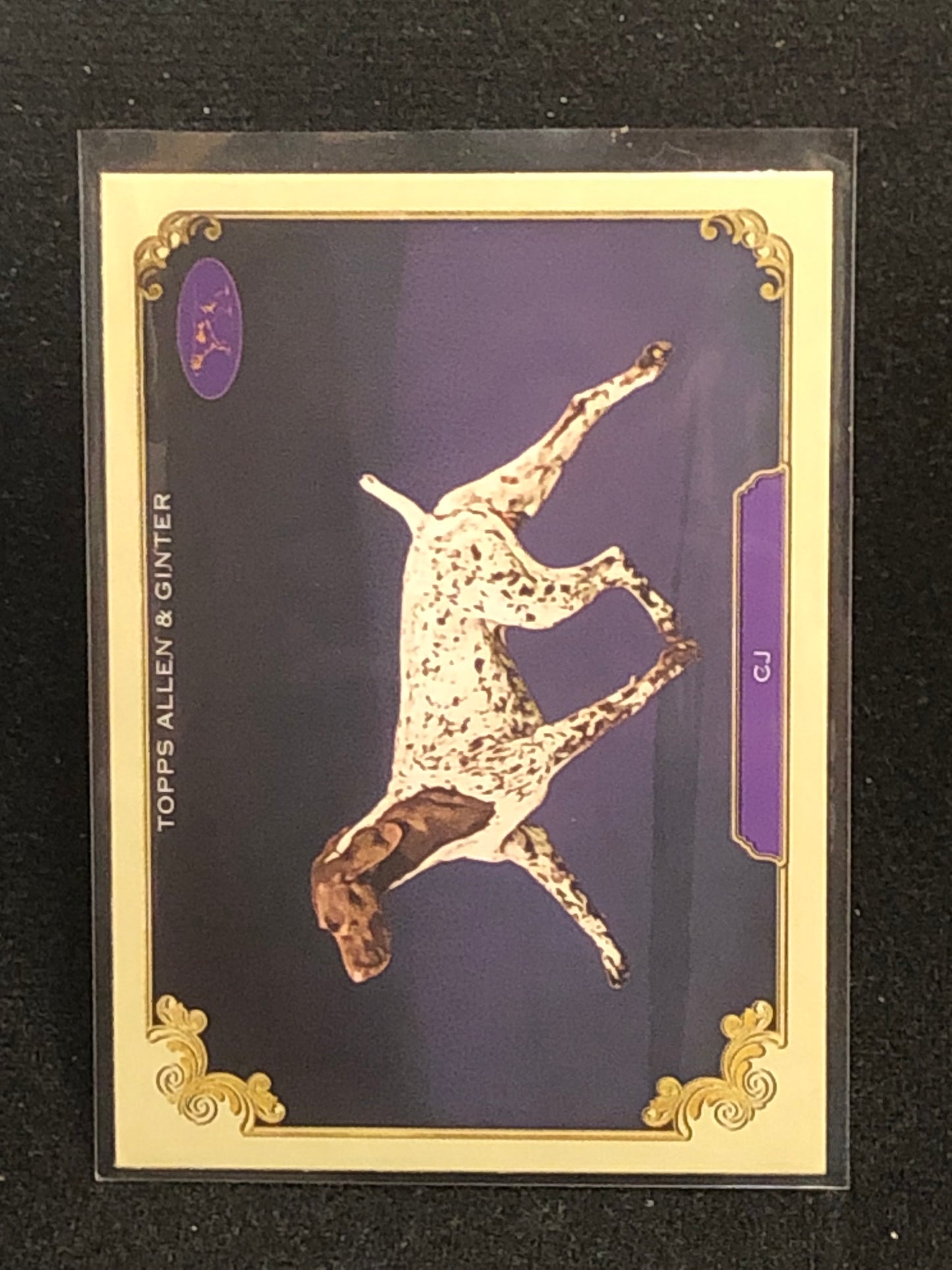 Topps 2024 Allen & Ginter Stars Of The Show (SOS) Singles