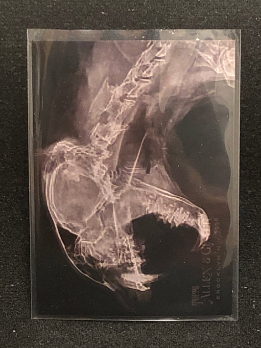 Topps 2024 Allen & Ginter X-Ray Singles