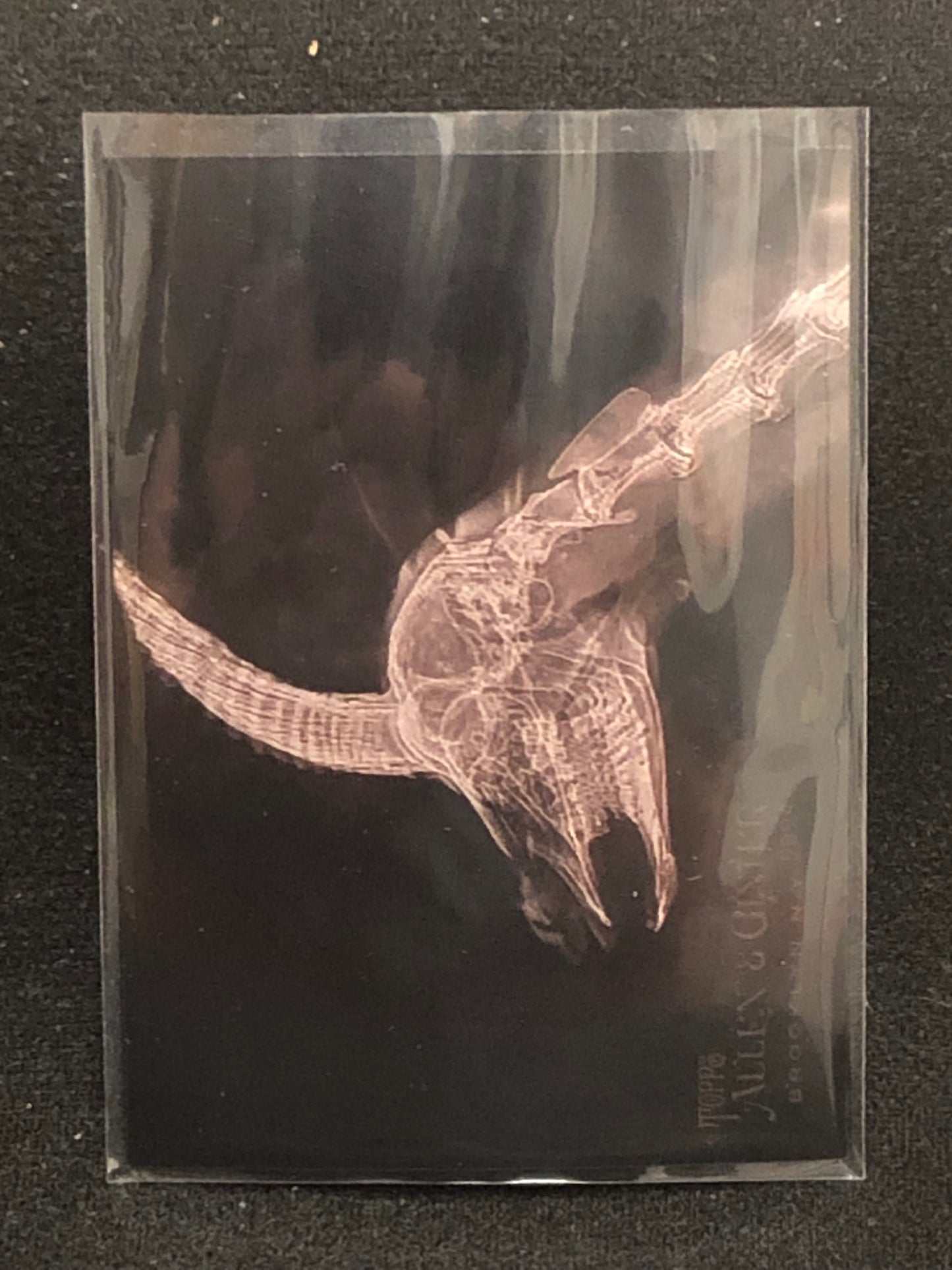 Topps 2024 Allen & Ginter X-Ray Singles