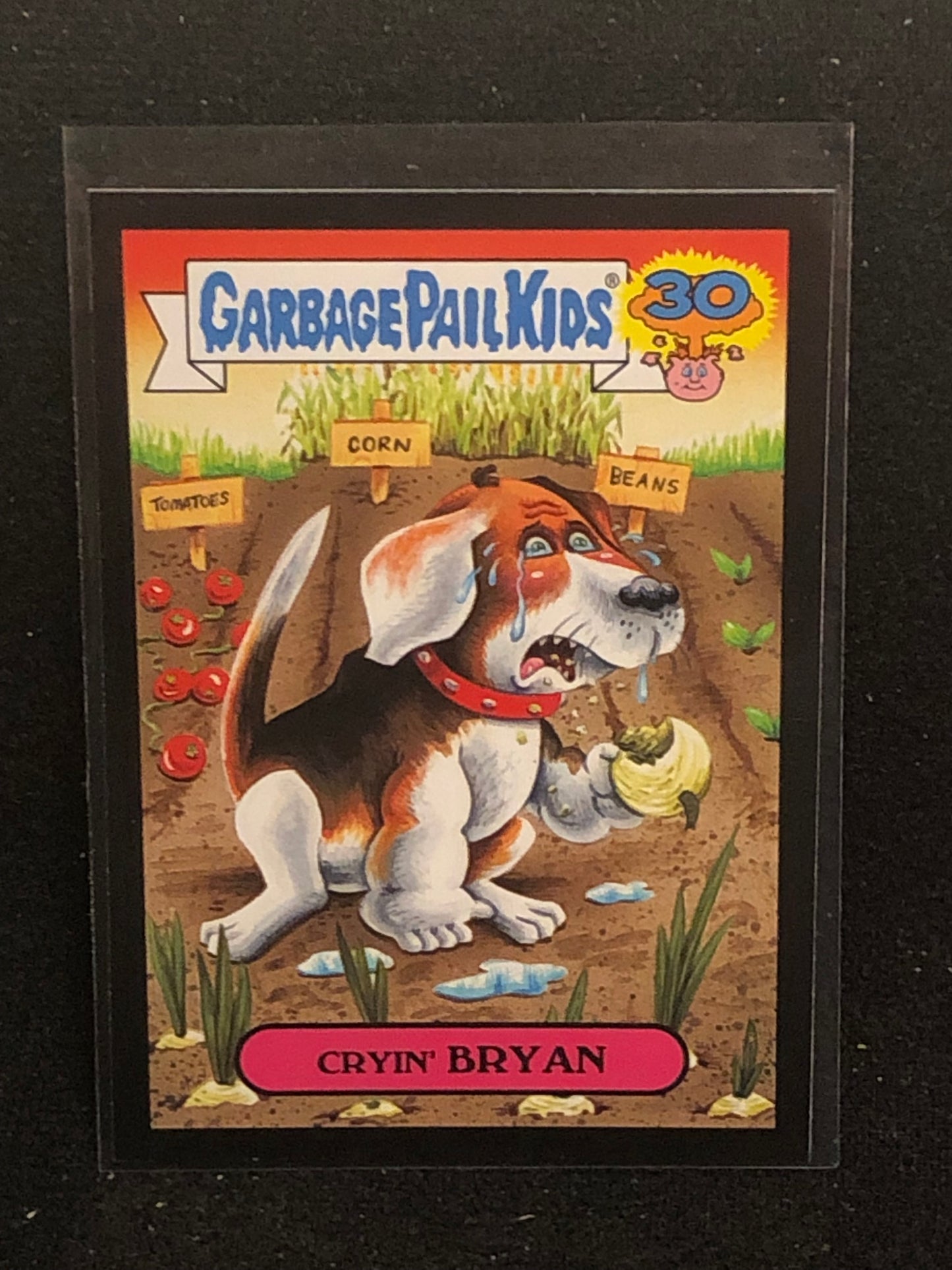 Garbage Pail Kids 30th Anniversary U-PICK Black Border Singles