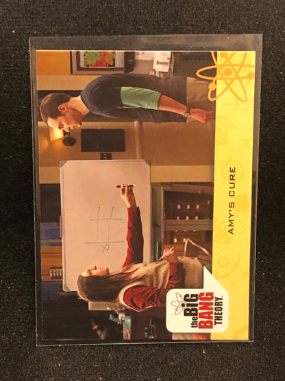 The Big Bang Theory Seasons 6 & 7 U-PICK Base Singles