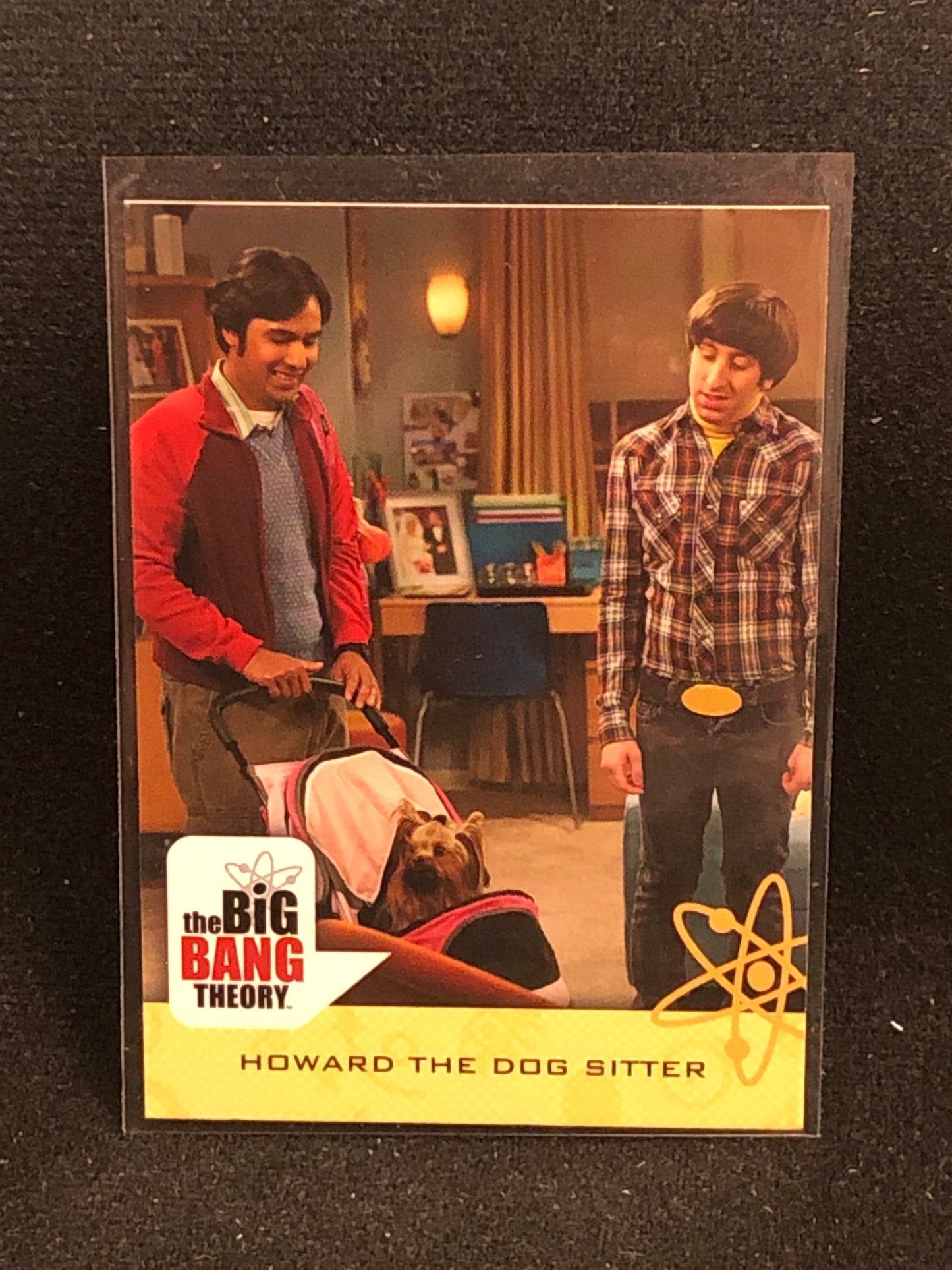 The Big Bang Theory Seasons 6 & 7 U-PICK Base Singles
