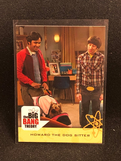 The Big Bang Theory Seasons 6 & 7 U-PICK Base Singles