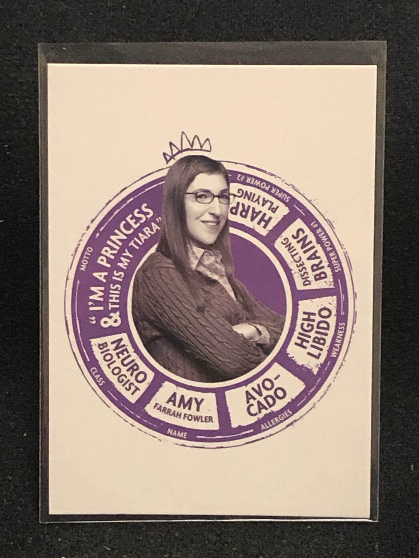 The Big Bang Theory Seasons 6 & 7 U-PICK Portrait Insert Singles