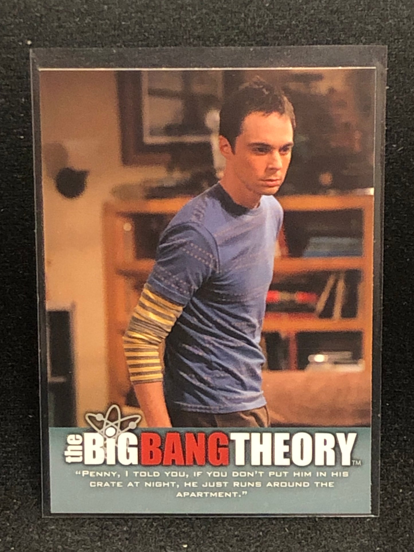 The Big Bang Theory Seasons 3 & 4 U-PICK Base Singles