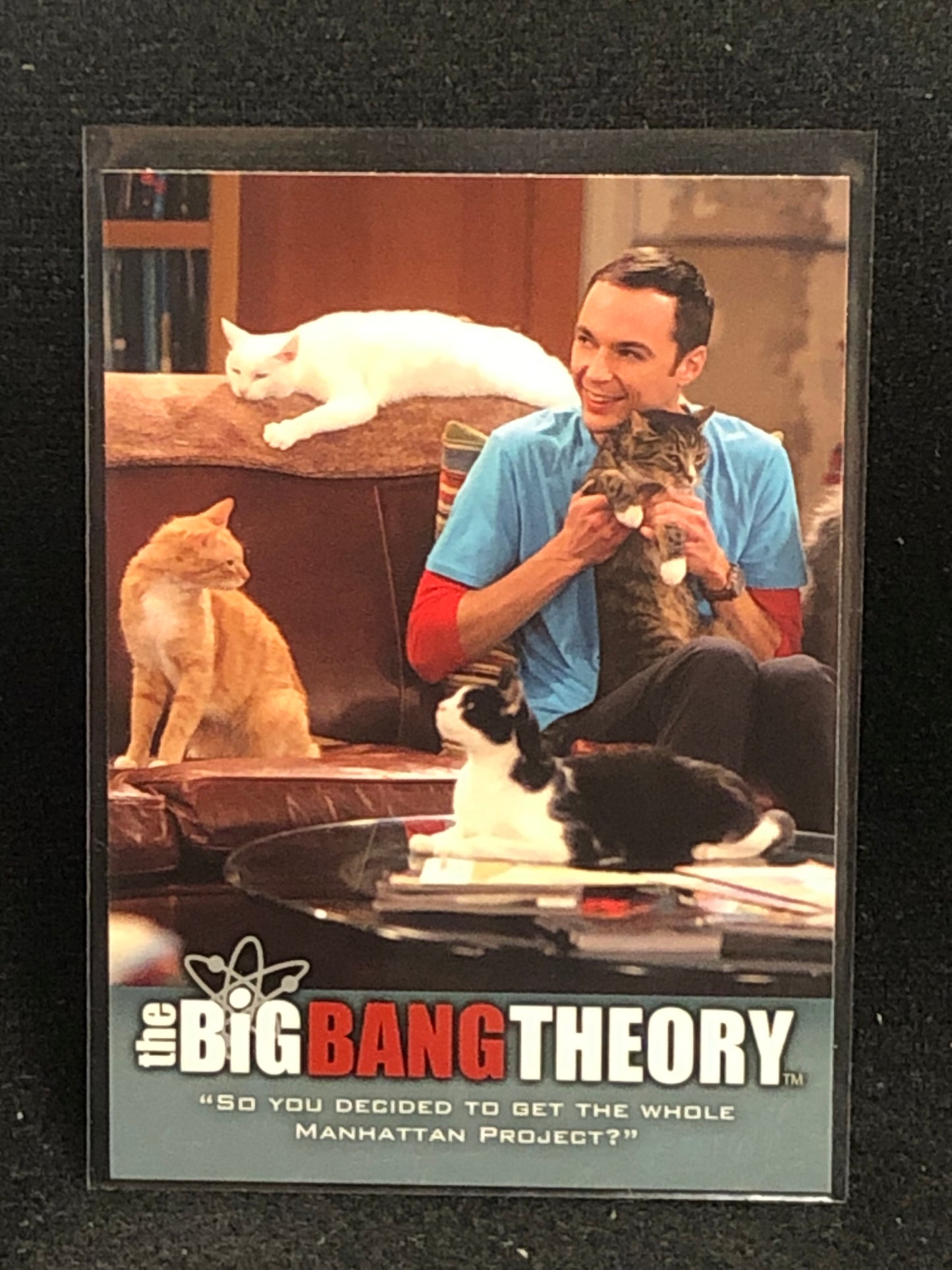 The Big Bang Theory Seasons 3 & 4 U-PICK Base Singles