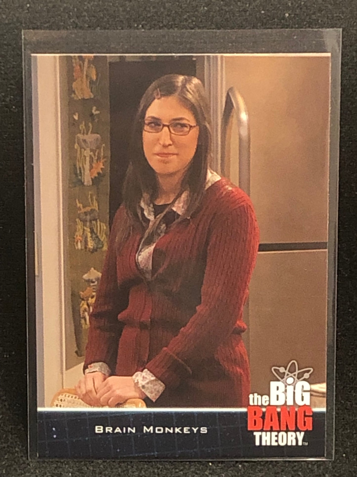 2012 Cryptozoic The Big Bang Theory Seasons 5 U-PICK Base Singles