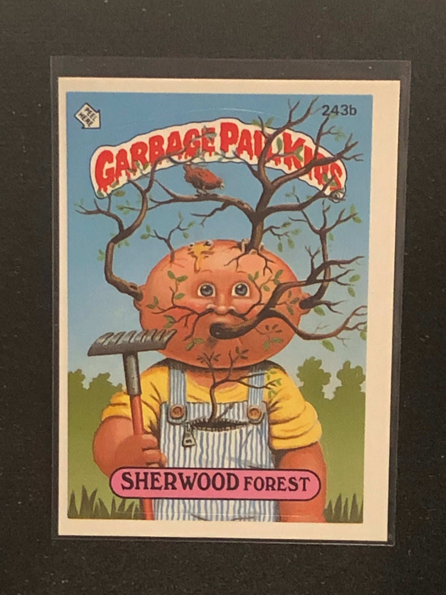 Garbage Pail Kids Original Series 6 (os6) 243b Sherwood Forest