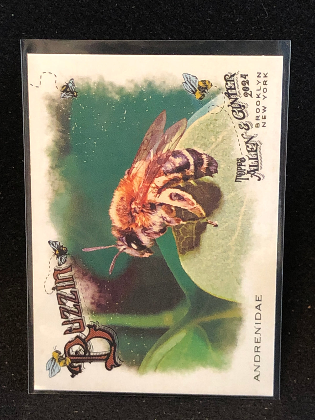 Topps 2024 Allen & Ginter U-PICK Subset & Insert Singles