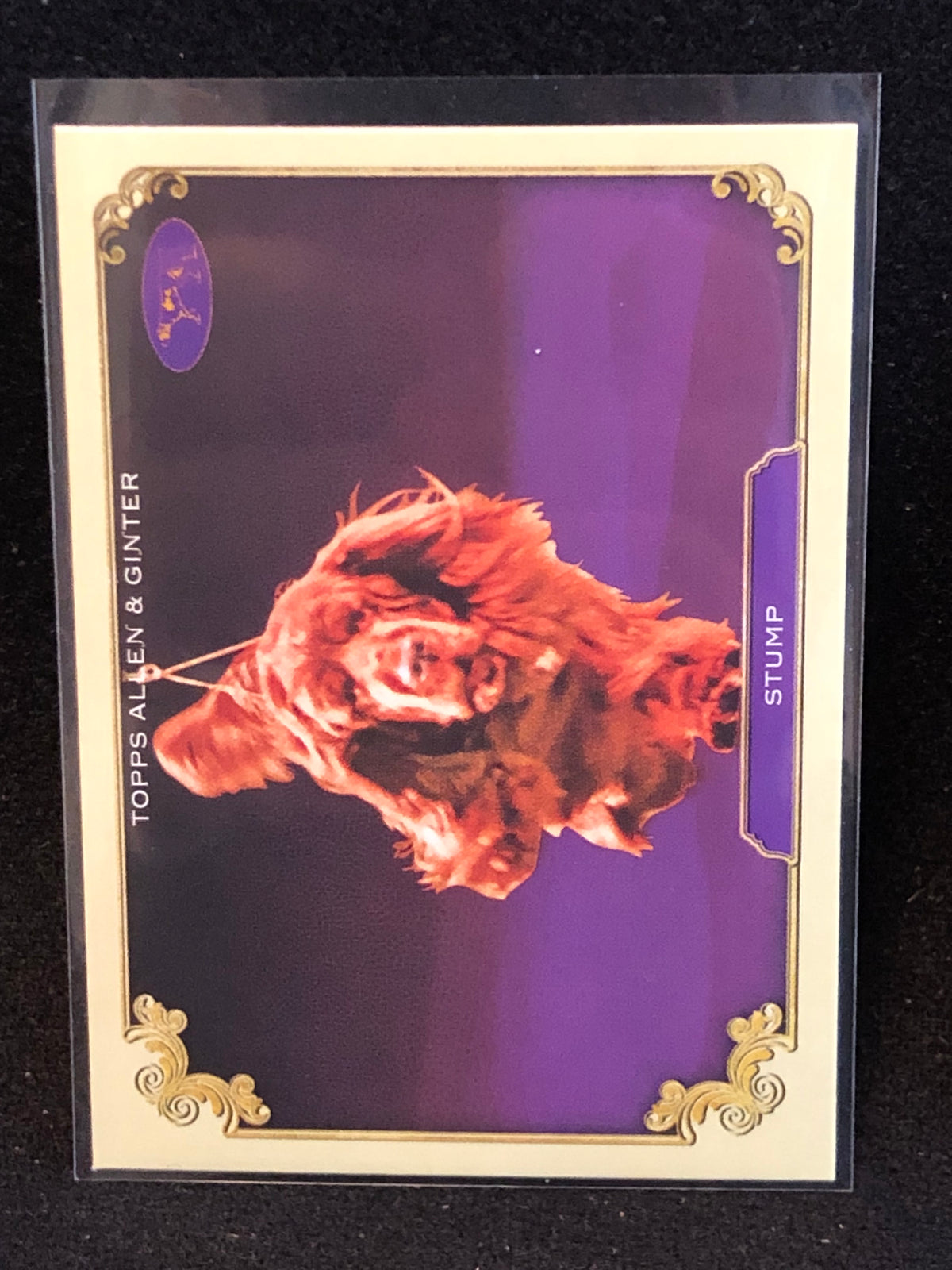 Topps 2024 Allen & Ginter U-PICK Subset & Insert Singles
