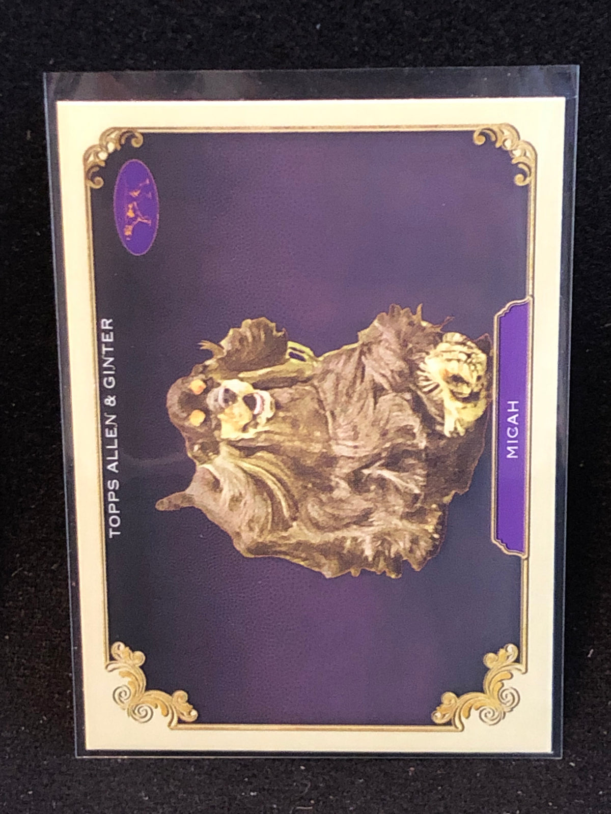 Topps 2024 Allen & Ginter U-PICK Subset & Insert Singles