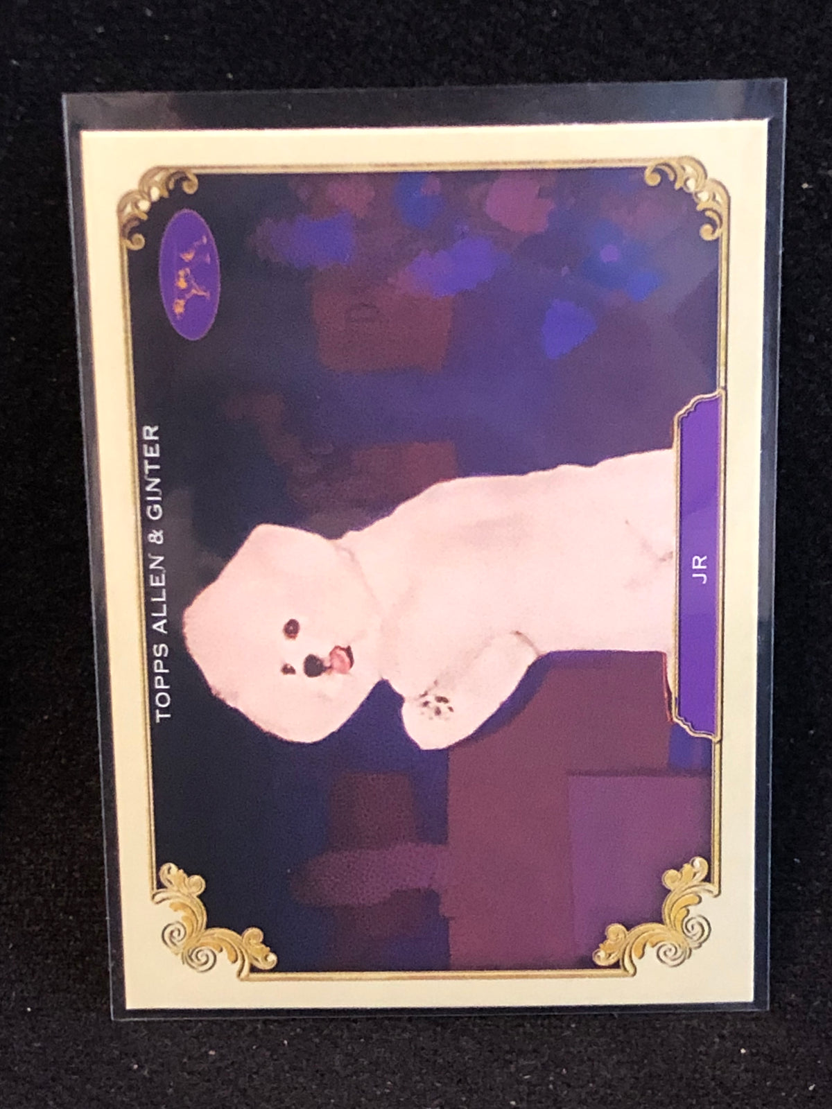 Topps 2024 Allen & Ginter U-PICK Subset & Insert Singles