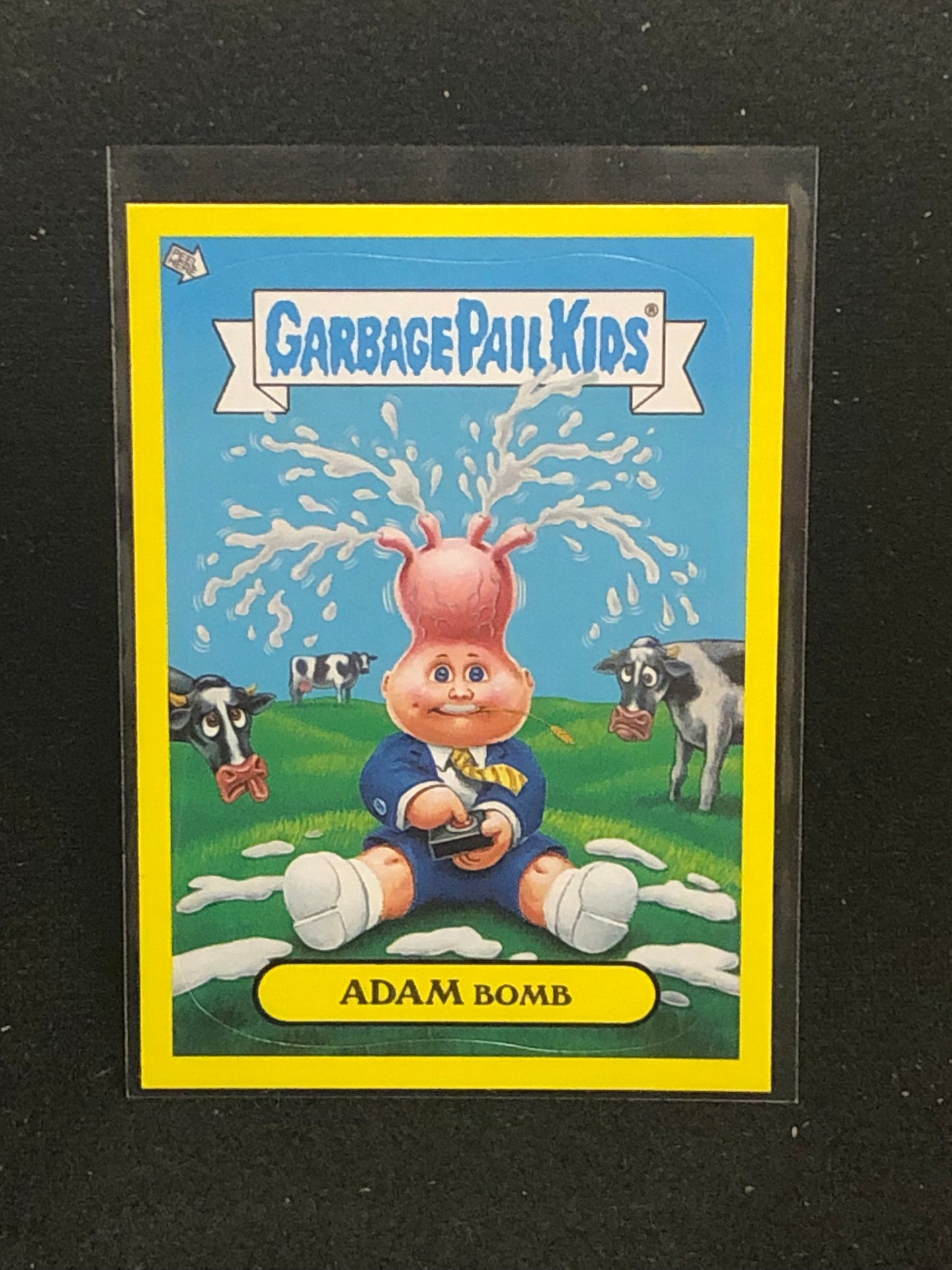 Garbage Pail Kids Flashback Series 2 U-PICK Base Adam Mania Singles